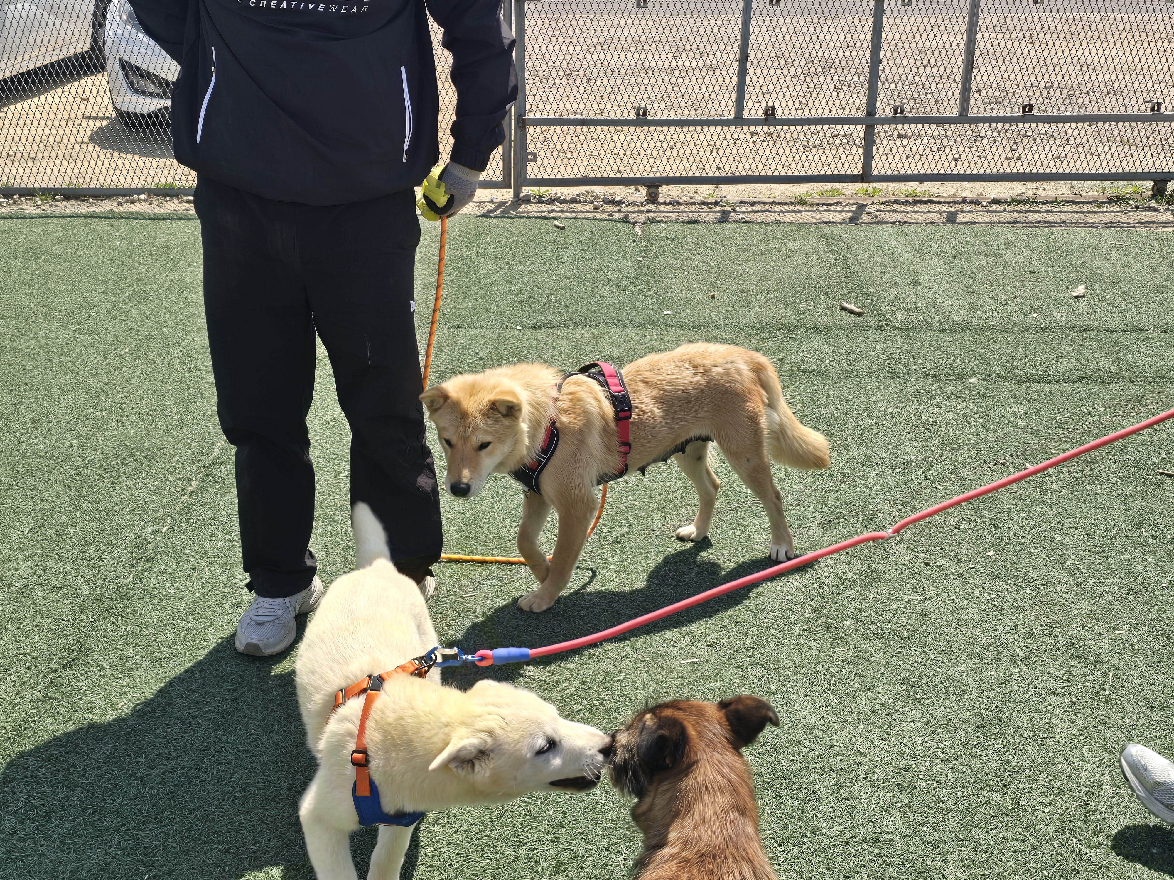 4월 넷째주 왕왕랜드 일상💕