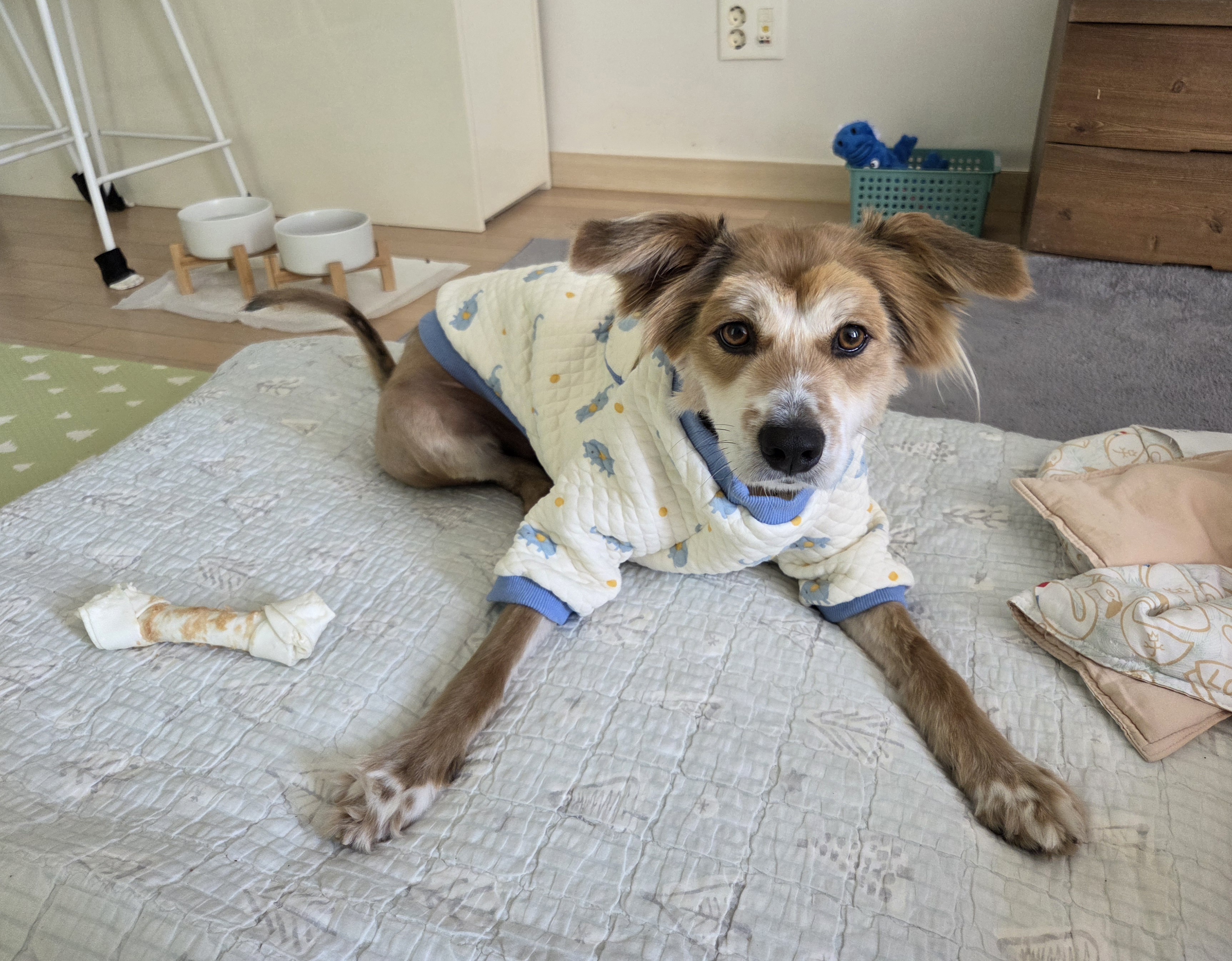 일용이의 새 이름, '해솔이'